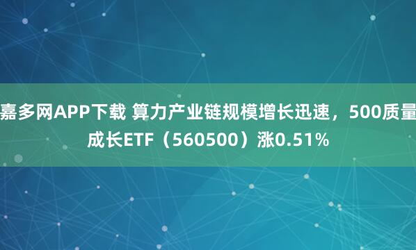 嘉多网APP下载 算力产业链规模增长迅速，500质量成长ETF（560500）涨0.51%