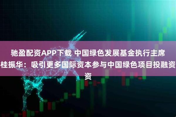 驰盈配资APP下载 中国绿色发展基金执行主席桂振华：吸引更多国际资本参与中国绿色项目投融资