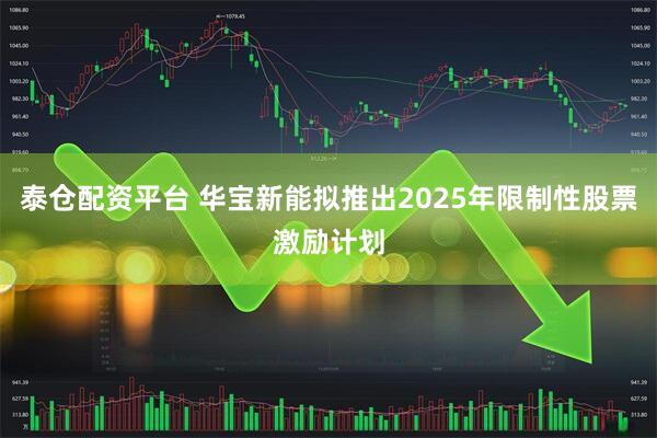 泰仓配资平台 华宝新能拟推出2025年限制性股票激励计划